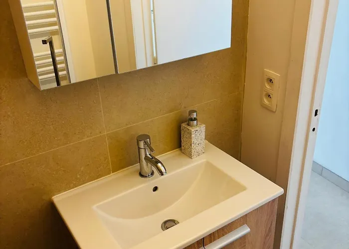 Appartement La Brise Et La Mer- Frontaal Zeezicht! Oostende